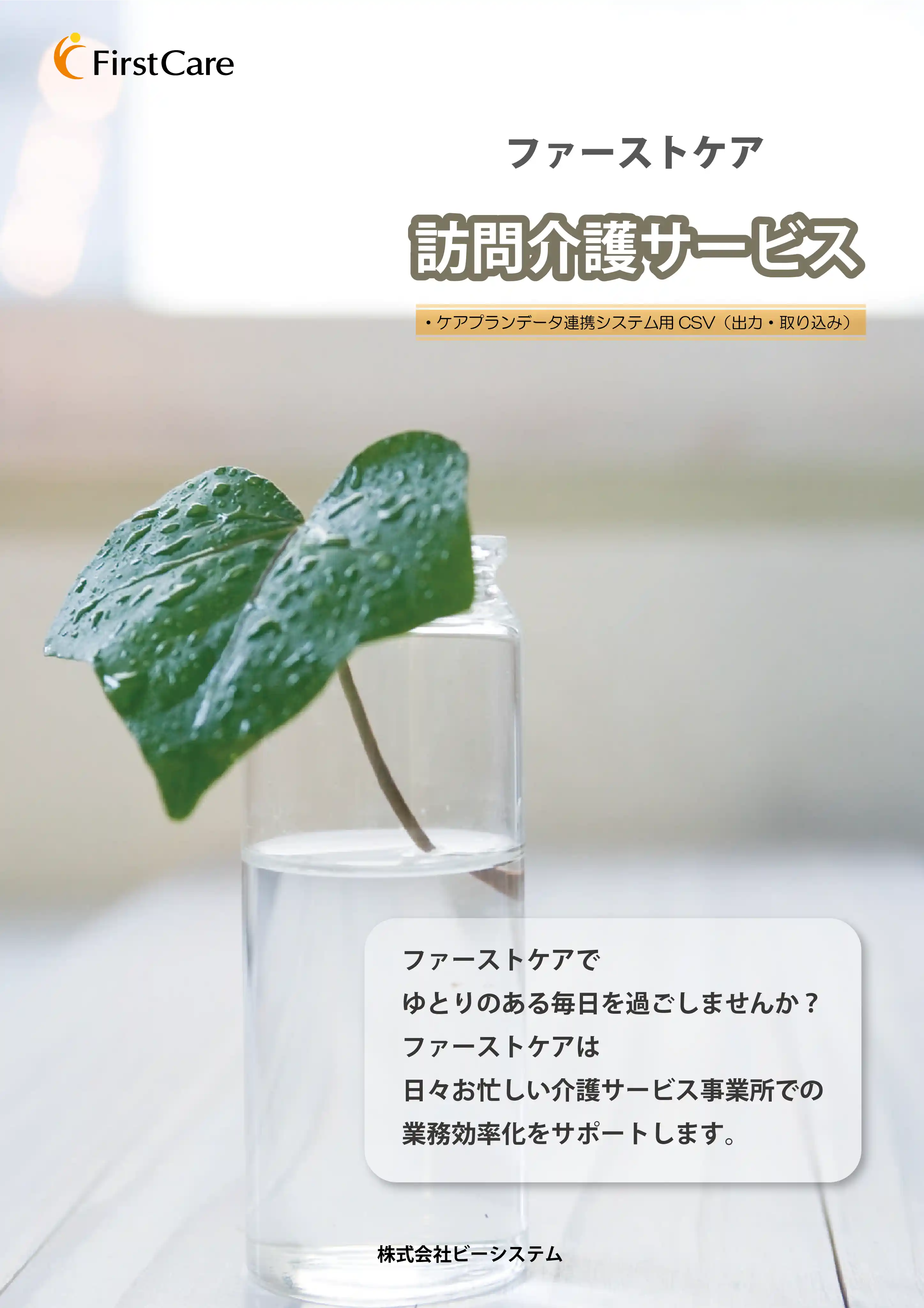 訪問介護　カタログ