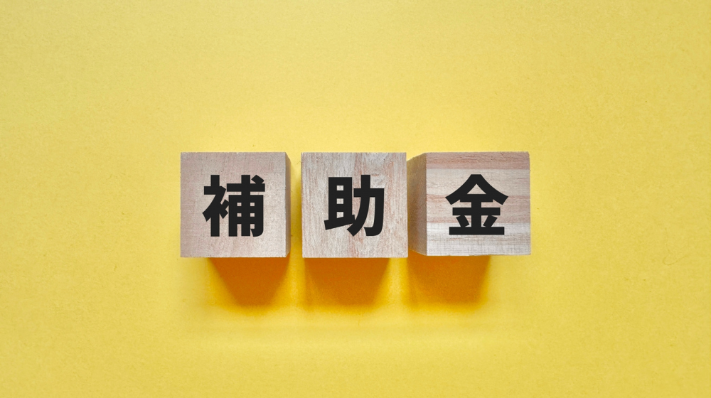 介護ICT導入で活用できる代表的な補助金と助成制度